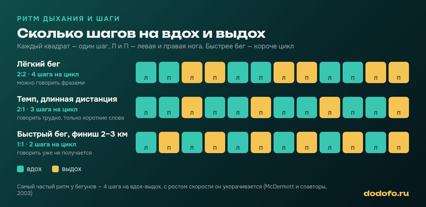 Схема ритма дыхания при беге по шагам: лёгкий бег 2:2 на четыре шага, темп 2:1 на три шага, быстрый бег 1:1 на два шага