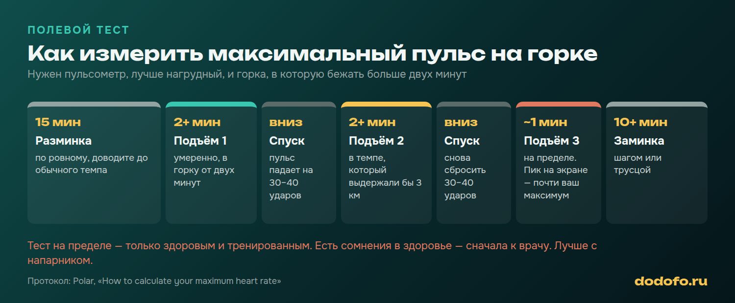 Схема полевого теста максимального пульса: разминка 15 минут, три подъёма в горку с нарастающей скоростью, спуски для восстановления и заминка 10 минут