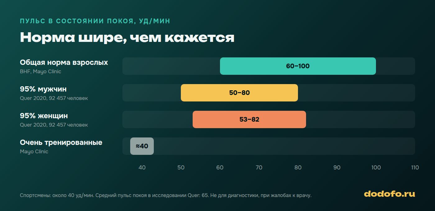 Пульс в состоянии покоя: норма 60–100 уд/мин, у 95% мужчин 50–80, у 95% женщин 53–82, у тренированных спортсменов около 40