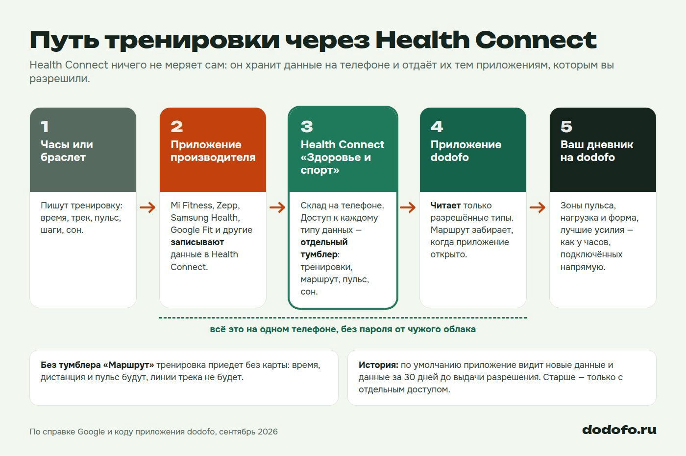 Схема пути тренировки через Health Connect: часы записывают тренировку, приложение производителя (Mi Fitness, Zepp, Samsung Health, Google Fit) кладёт её в Health Connect на телефоне, приложение dodofo читает разрешённые типы данных, а в дневнике dodofo появляются зоны пульса, нагрузка и лучшие усилия