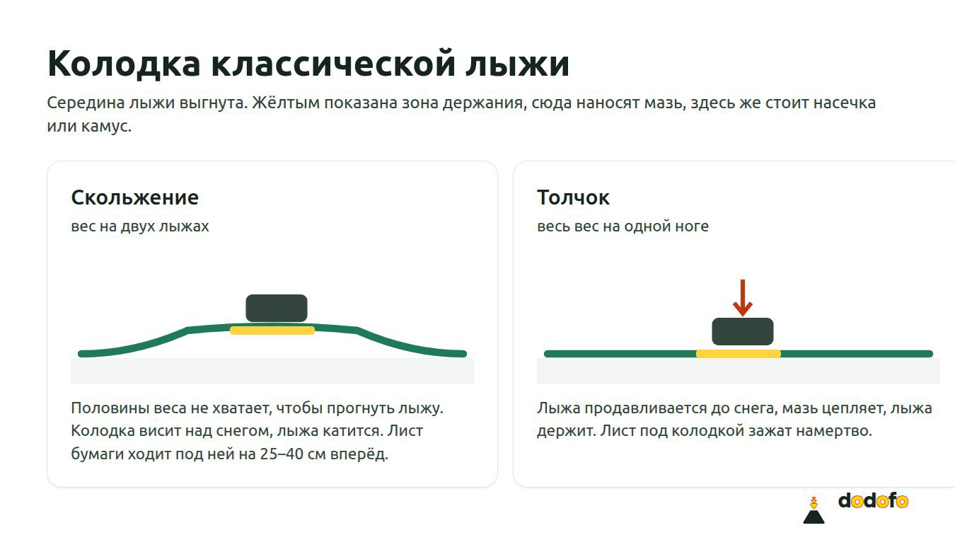 Как работает колодка классической лыжи: на двух лыжах она висит над снегом, при толчке на одной ноге продавливается и держит